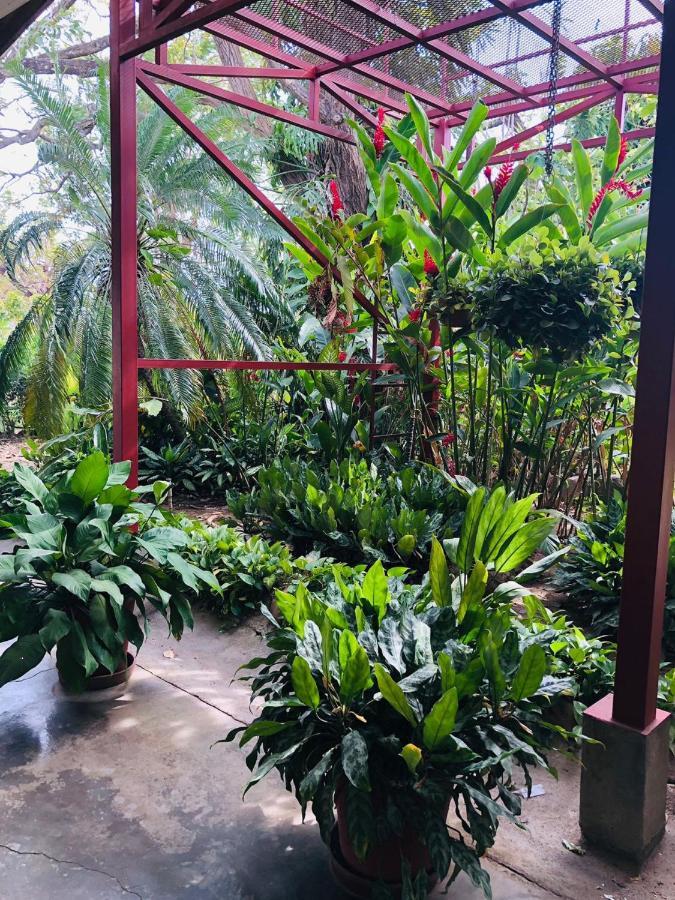 Hotel Del Aserradero Liberia Ngoại thất bức ảnh